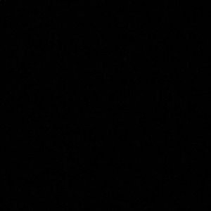 Meet your Posher, Brodie